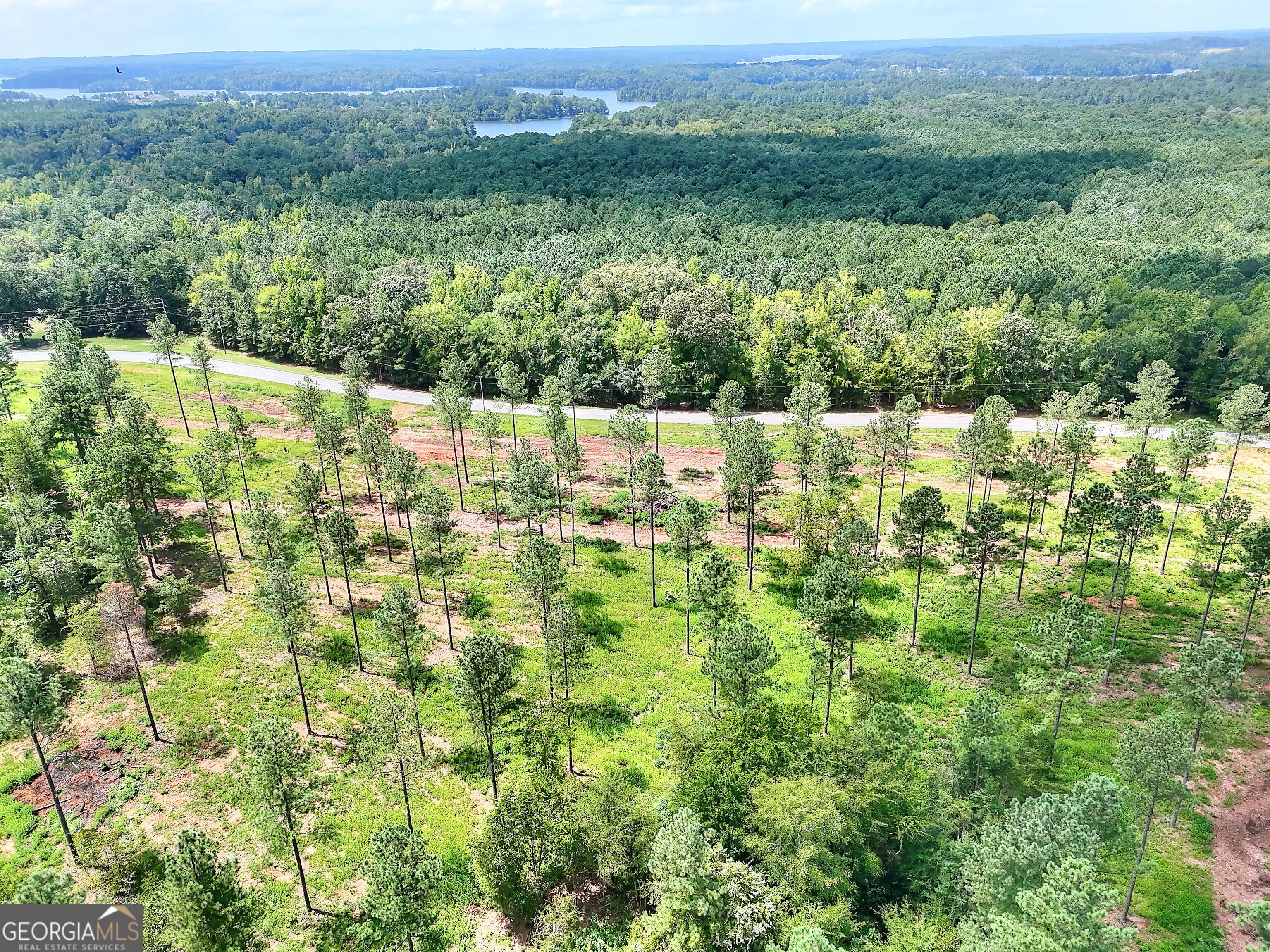 2001 Flat Rock Church Road White Plains, GA 30678 - Photo 12 of 18 a view of an outdoor space and a yard