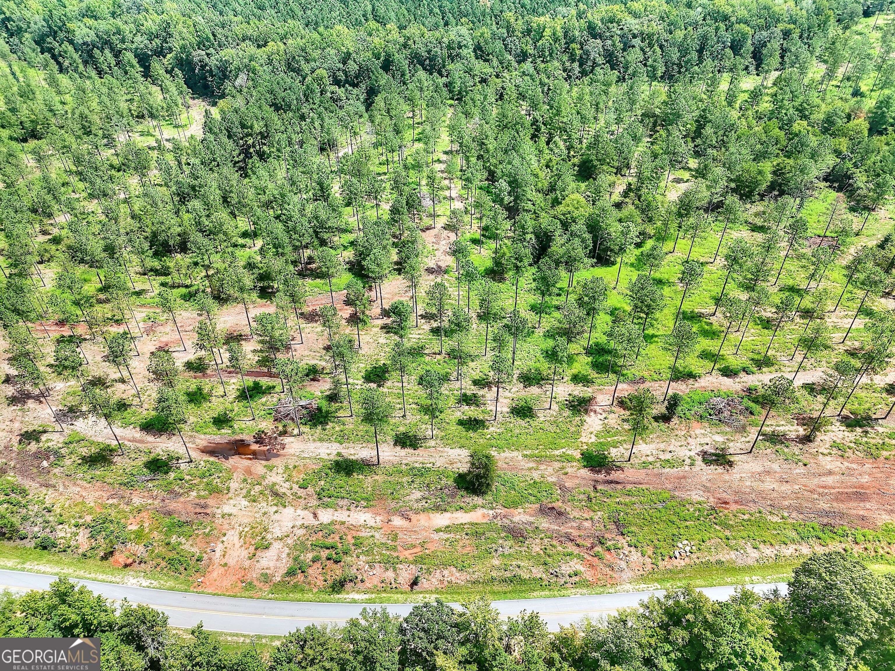 2001 Flat Rock Church Road White Plains, GA 30678 - Photo 14 of 18 a view of a yard with a tree