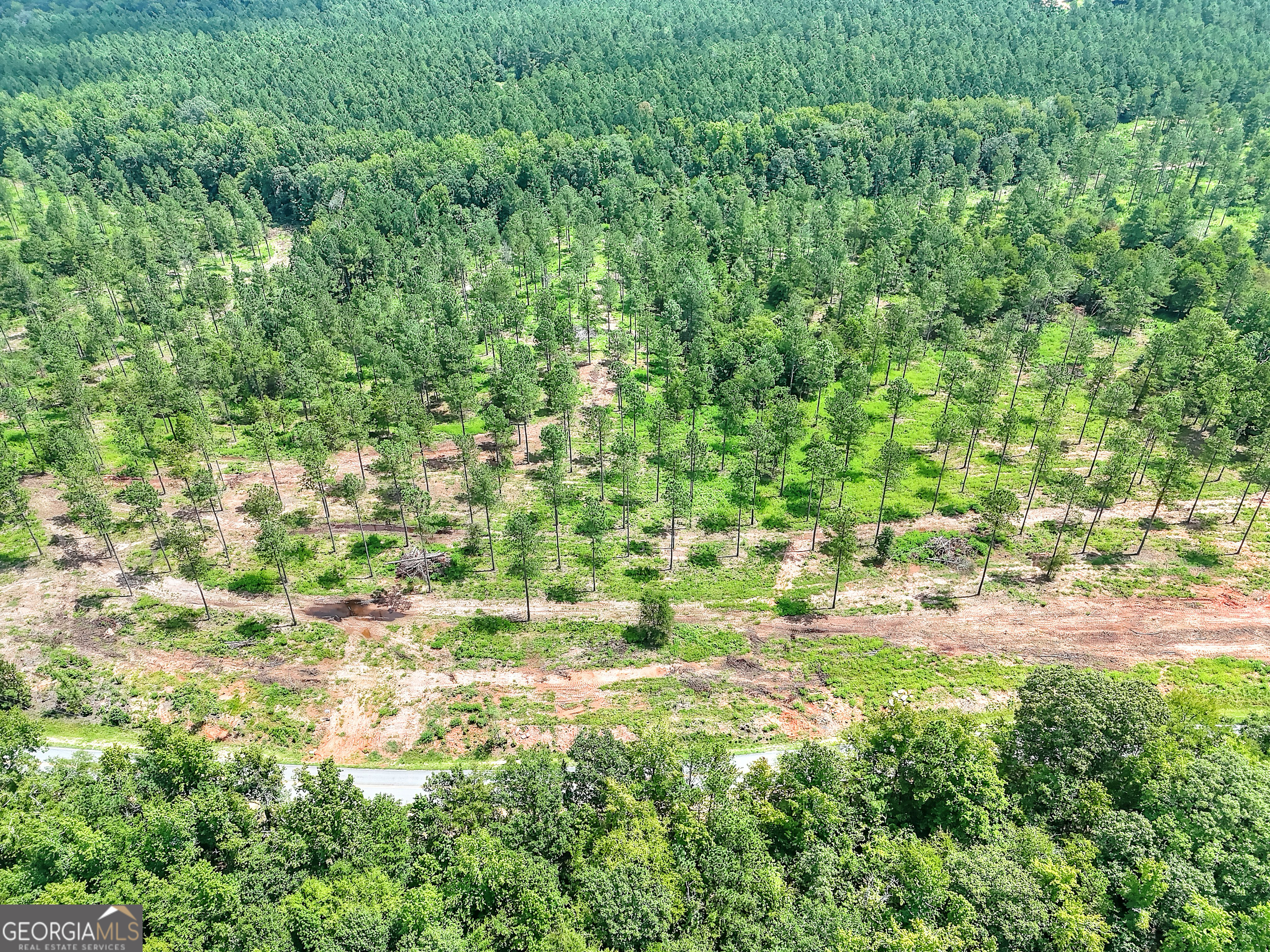 2001 Flat Rock Church Road White Plains, GA 30678 - Photo 15 of 18 a view of outdoor space and a yard