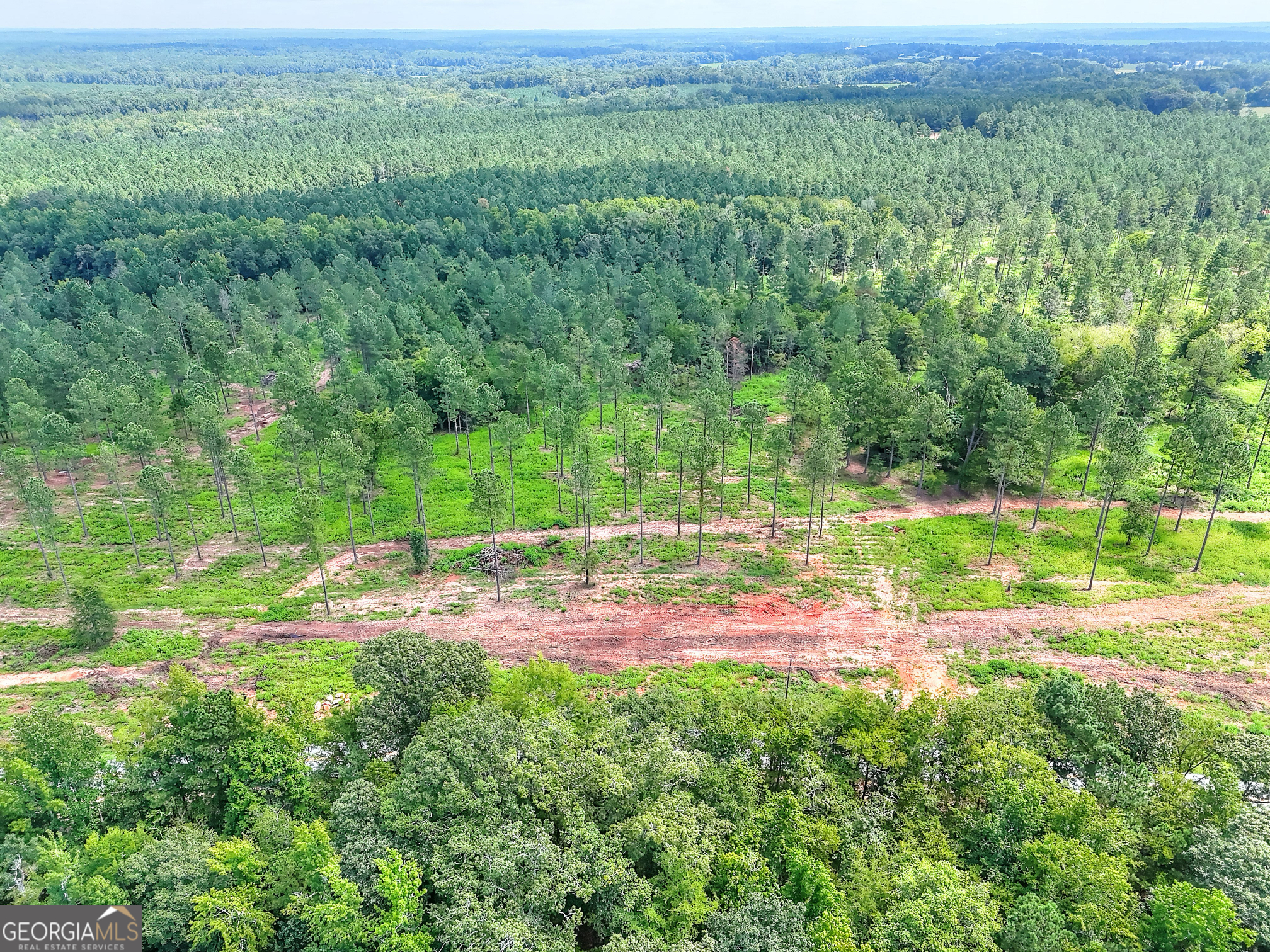 2001 Flat Rock Church Road White Plains, GA 30678 - Photo 16 of 18 a view of a yard with a yard