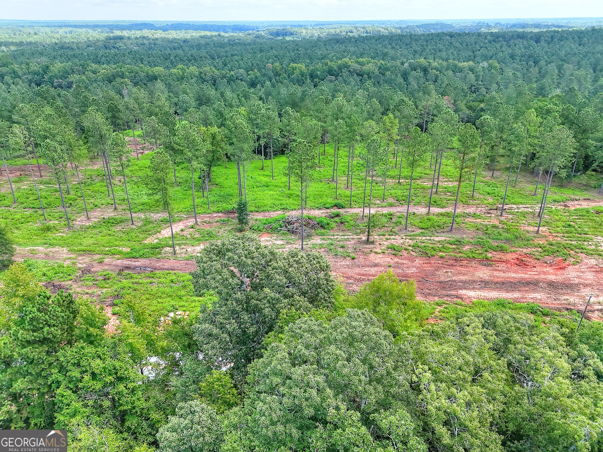 2001 Flat Rock Church Road White Plains, GA 30678 - Photo 17 of 18 a view of backyard with green space