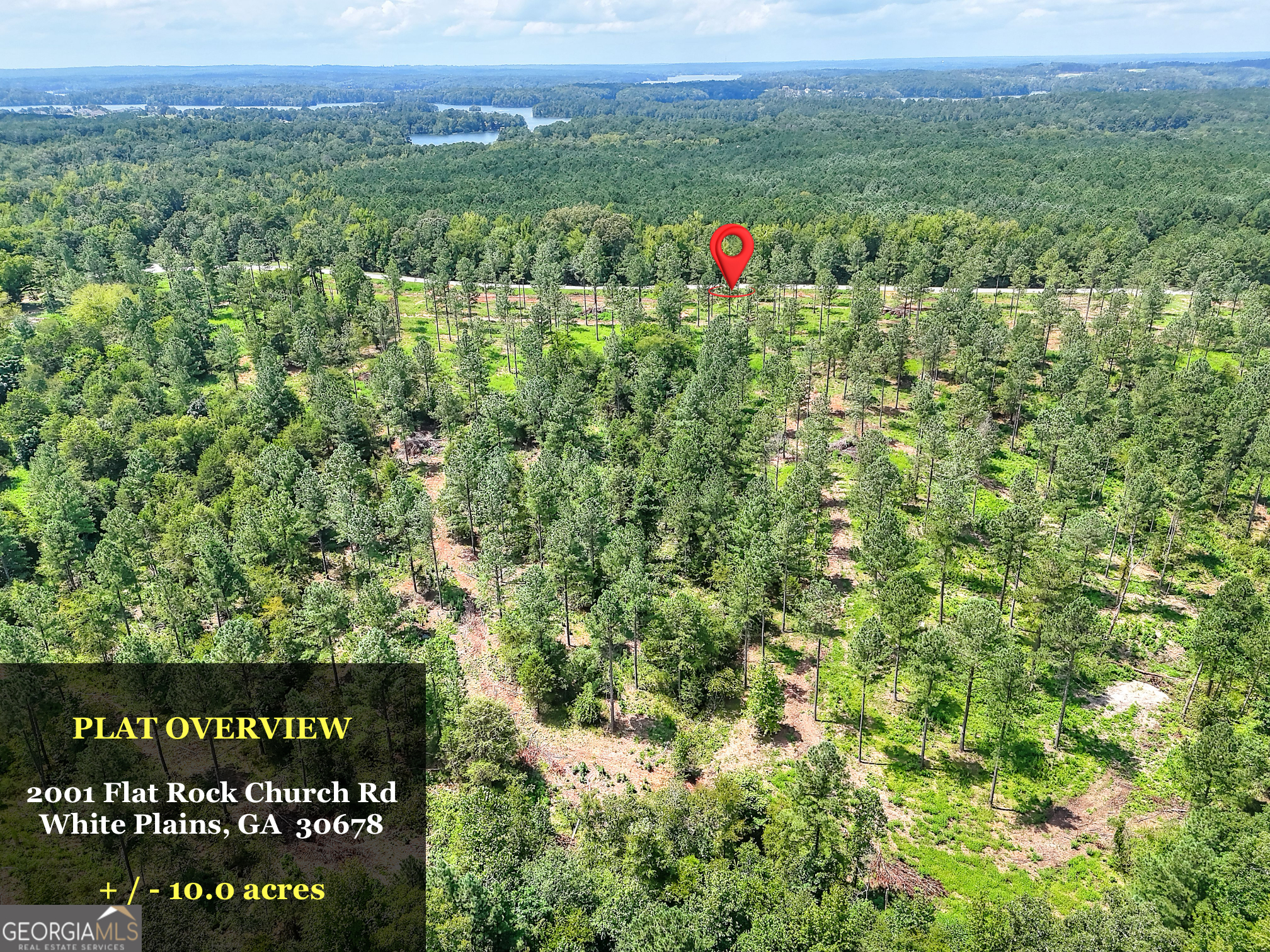 2001 Flat Rock Church Road White Plains, GA 30678 - Photo 3 of 18 a view of a lush green outdoor space with a garden and plants