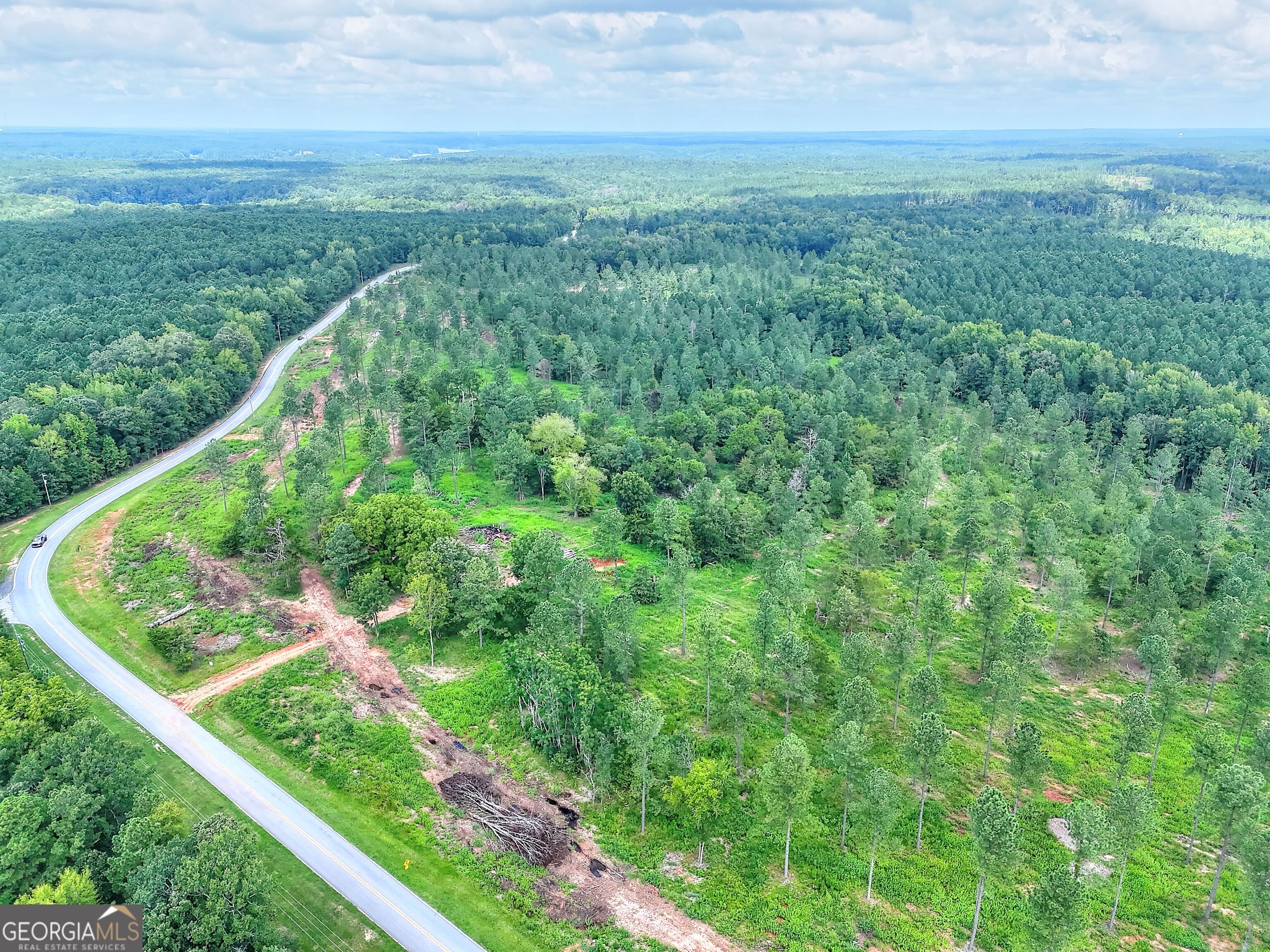2001 Flat Rock Church Road White Plains, GA 30678 - Photo 5 of 18 a view of a green field with lots of bushes