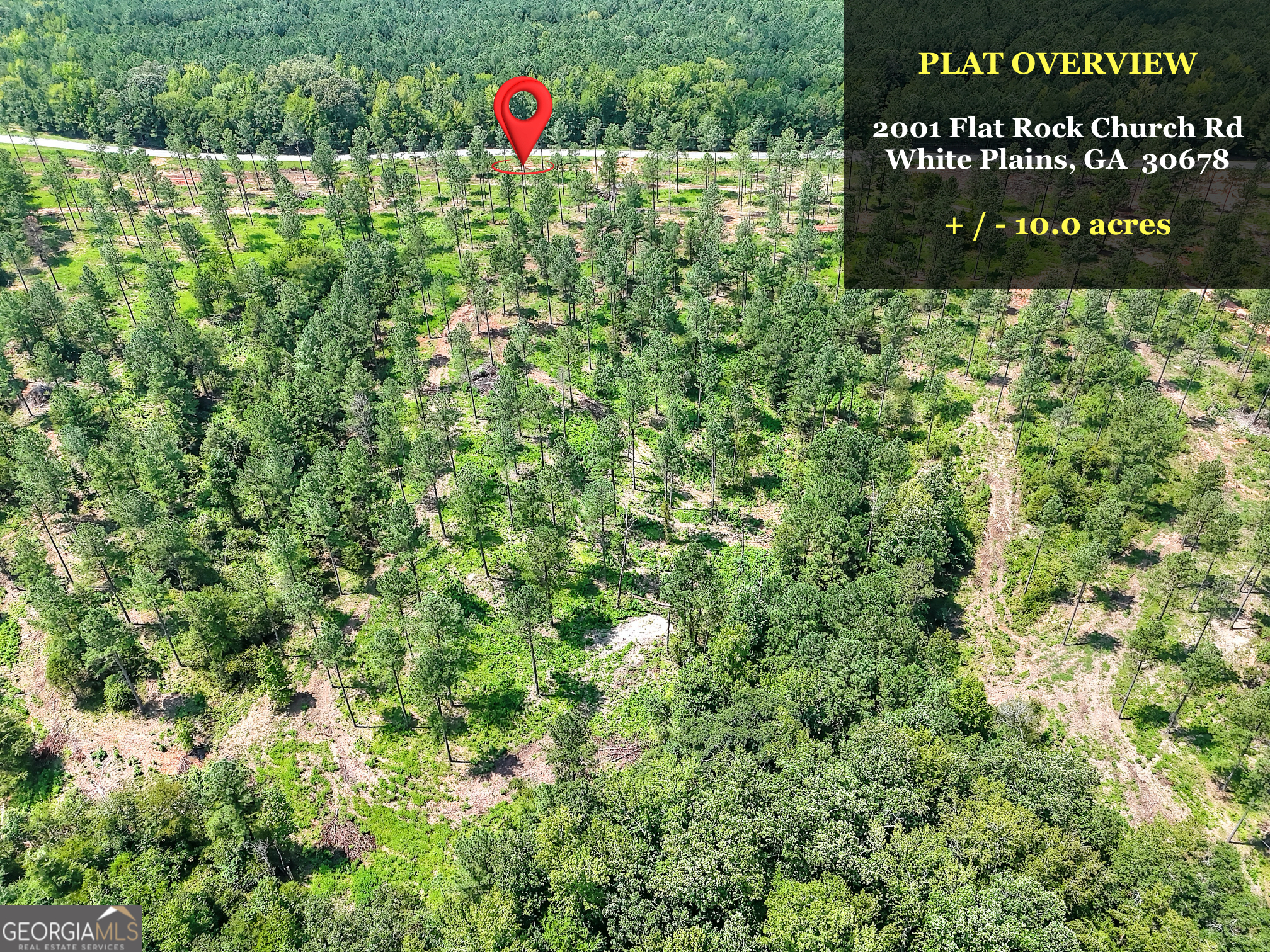 2001 Flat Rock Church Road White Plains, GA 30678 - Photo 6 of 18 a view of a bunch of flowers