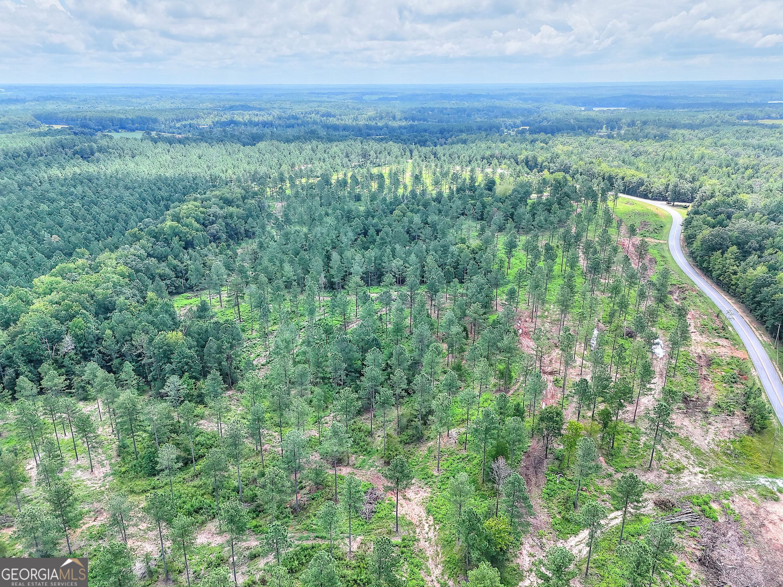 2001 Flat Rock Church Road White Plains, GA 30678 - Photo 8 of 18 a view of a green field with lots of bushes