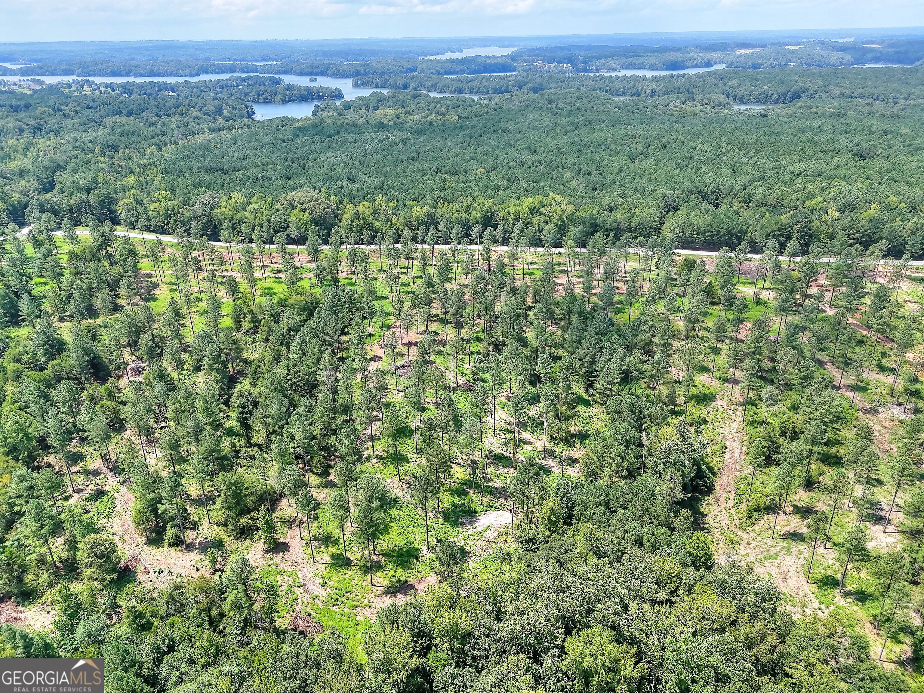 2001 Flat Rock Church Road White Plains, GA 30678 - Photo 10 of 18 a view of a green field with lots of bushes