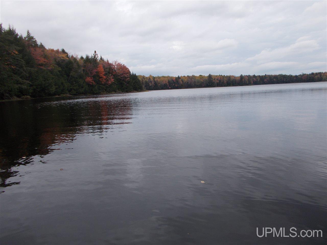 Clark Lake Jack Spurr Road Wakefield, MI 49968 - Photo 5 of 20