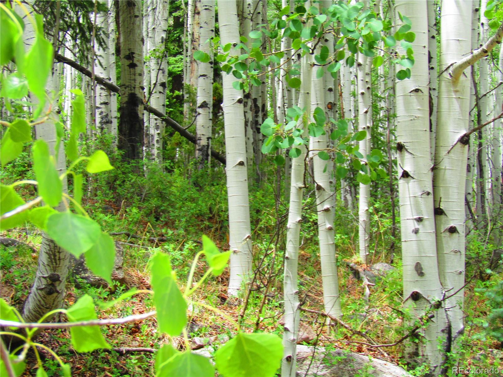 Lot 6295 Malcolm Road San Luis, CO 81152 - Photo 12 of 31
