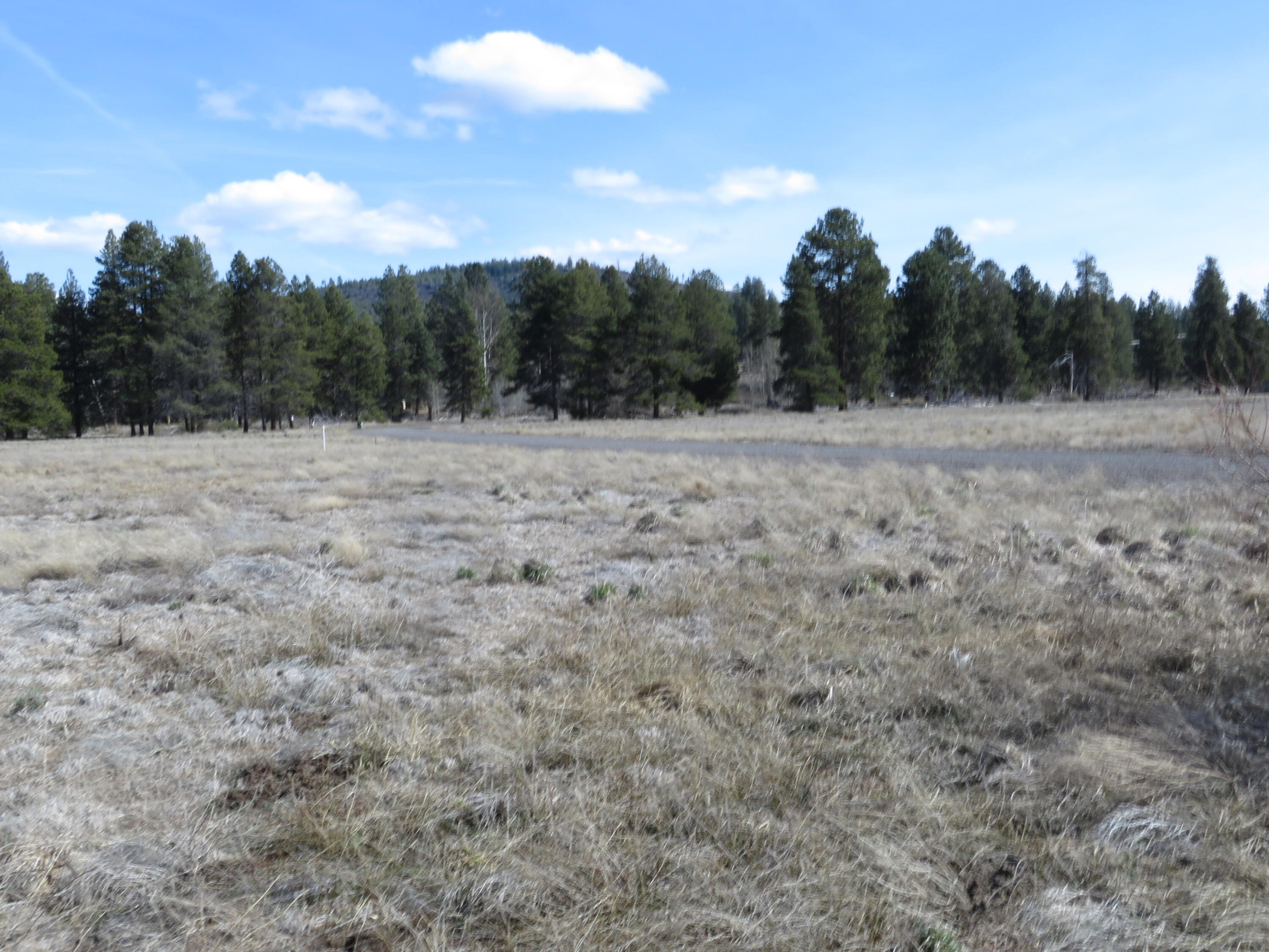 0 Longhorn Loop, Unit 26 Chiloquin, OR 97624 - Photo 11 of 14 Another shot, in spring and summer this will all be green!