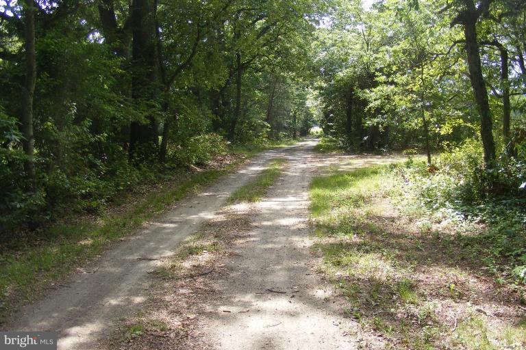 0 Learman Road Chestertown, MD 21620 - Photo 2 of 24 Wooded View / Acreage