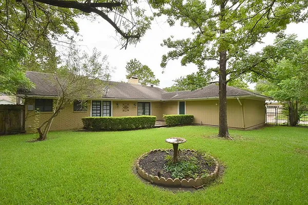 a view of a house with a yard potted plants and a large tree