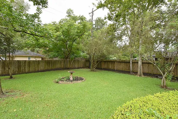 a view of a backyard with a tree