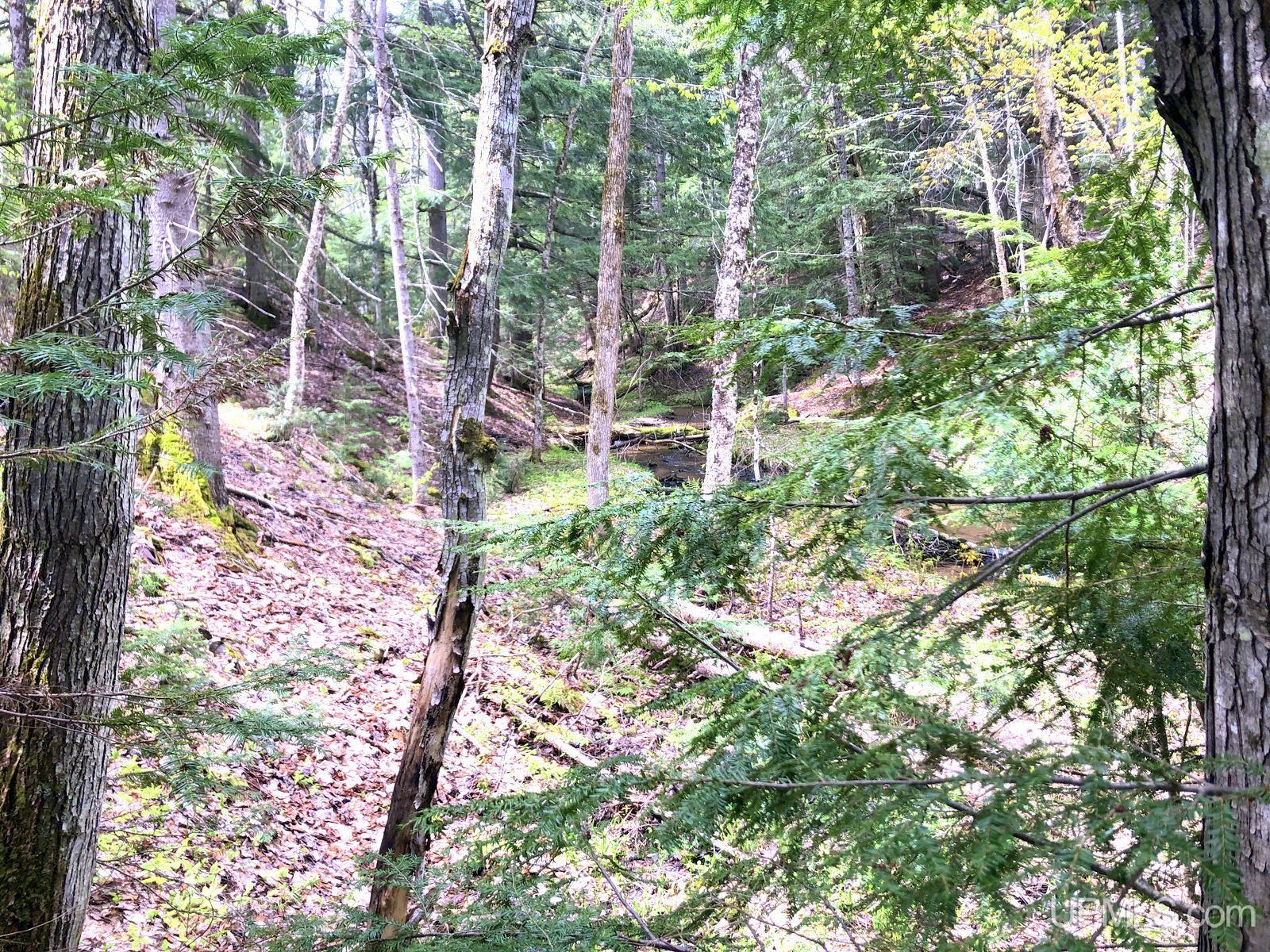 Tbd Tbd Northwestern/camp Road Ishpeming, MI 49849 - Photo 23 of 63
