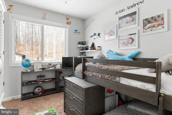 $875,000 | 6246 John Barton Payne Road, Marshall, VA 20115