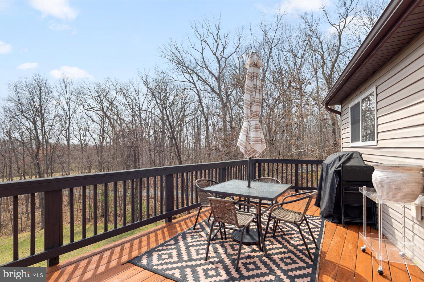 6246 John Barton Payne Road Marshall, VA 20115 - Photo 28 of 32 a view of a chairs and table on the deck