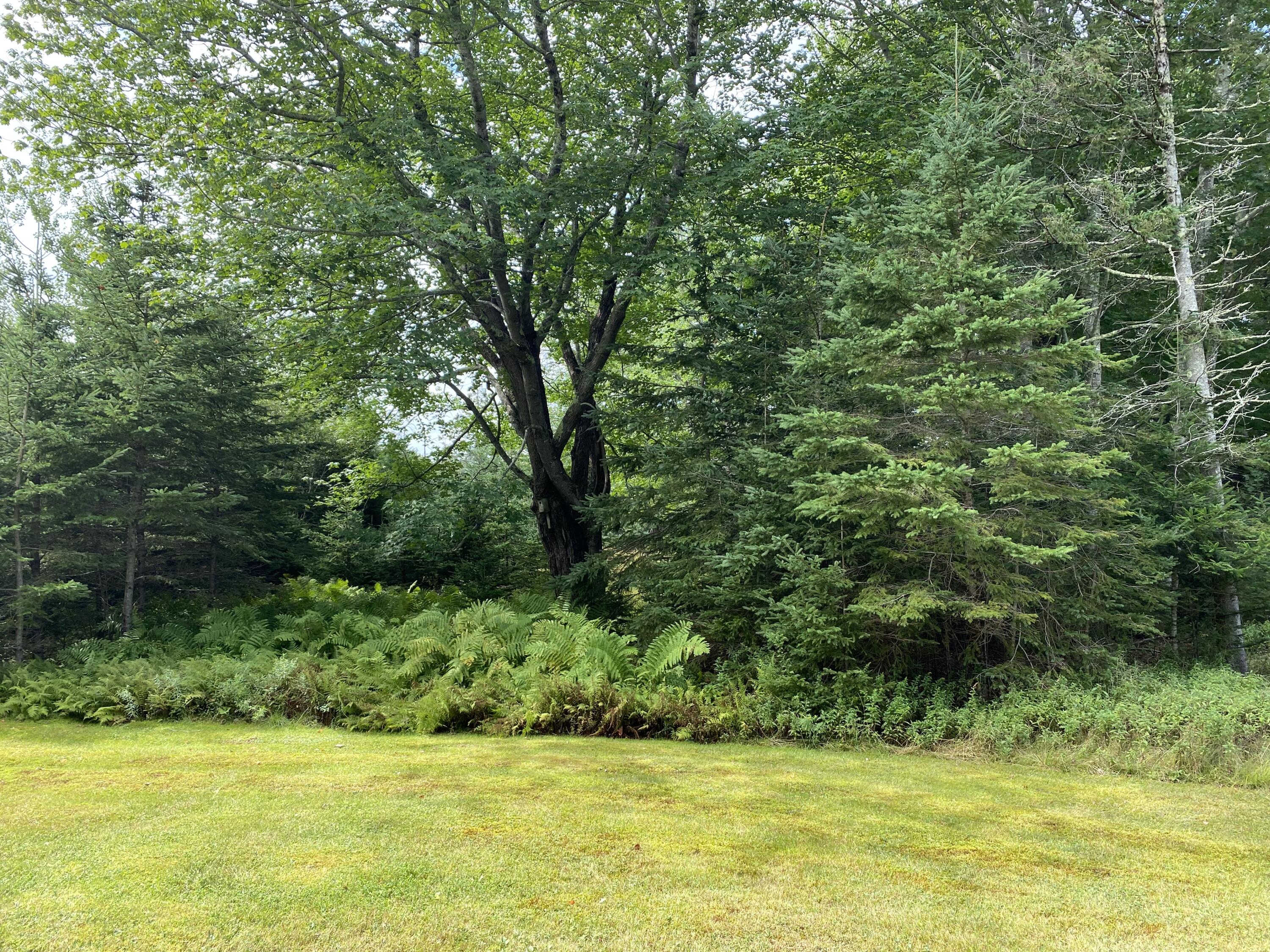 1574 Main Road Islesboro, ME 04848 - Photo 57 of 57 Yard