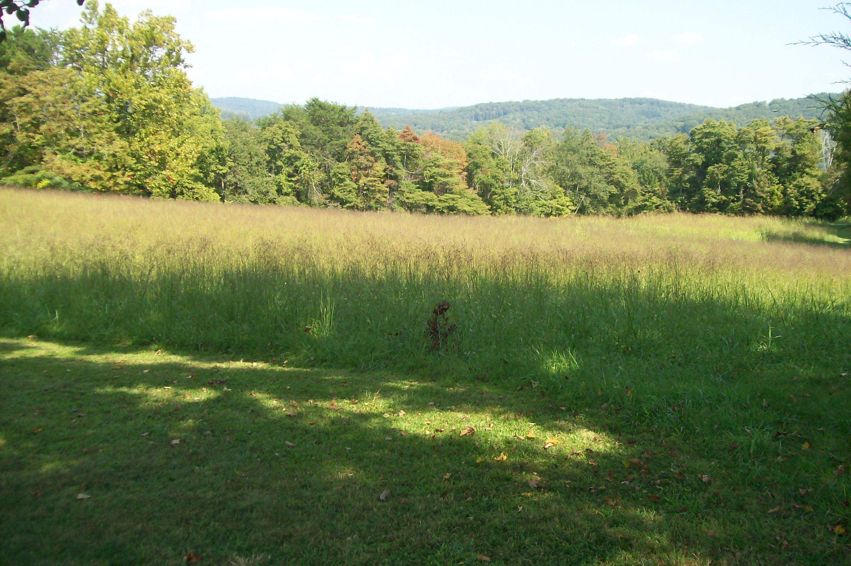 367 Offutt Spur Road Rocky Top, TN 37769 - Photo 16 of 40 101_3874