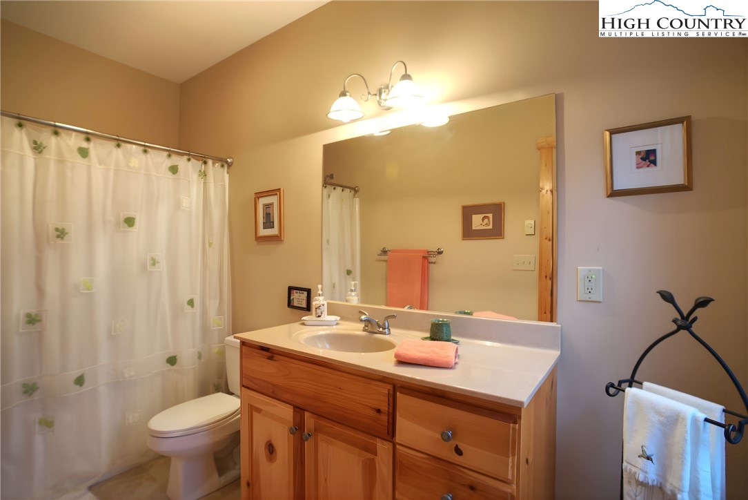 167 Rhododendron Drive Beech Mountain, NC 28604 - Photo 26 of 46 a bathroom with a sink a toilet a large mirror and shower curtain