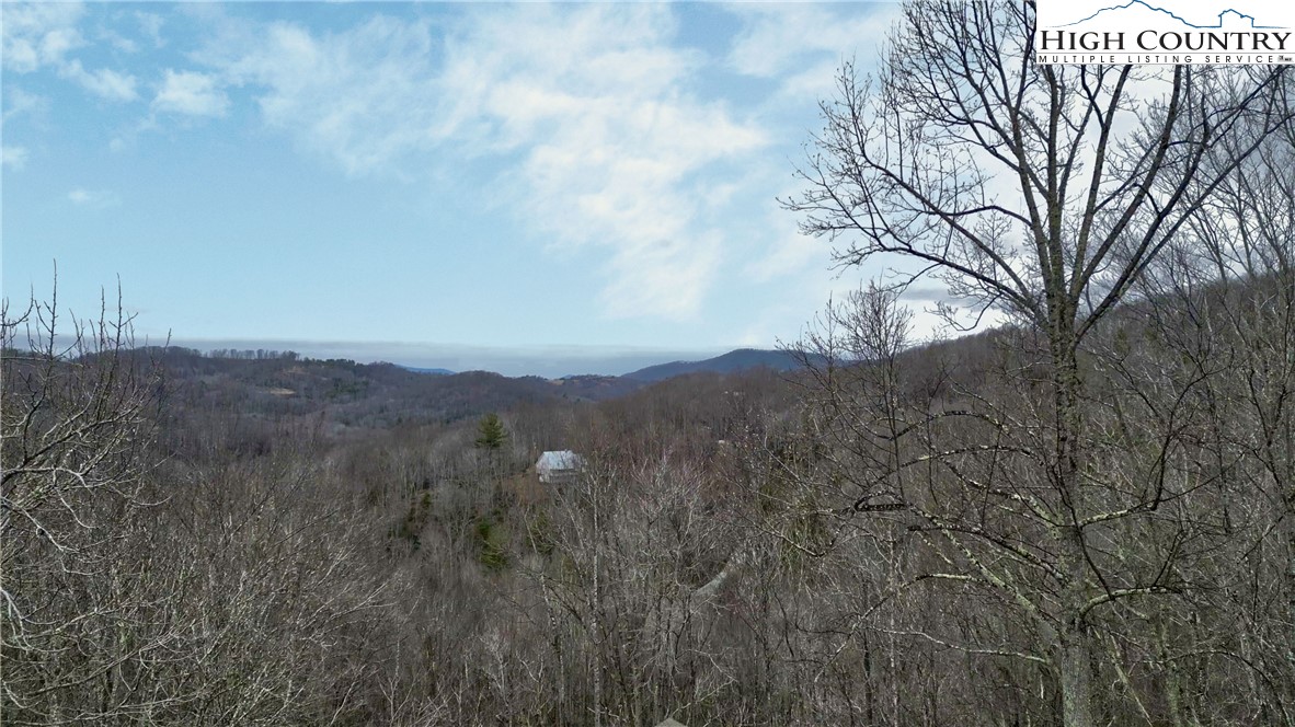 167 Rhododendron Drive Beech Mountain, NC 28604 - Photo 44 of 46