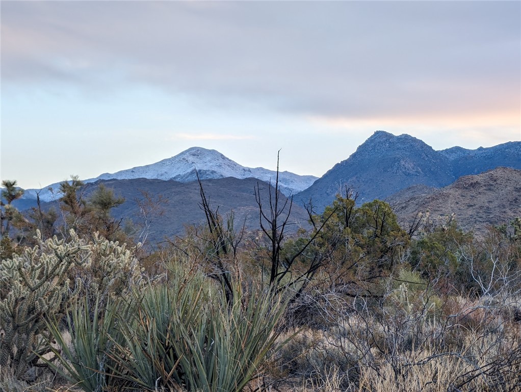 2624 South Gold Mine Road Yucca, AZ 86438 - Photo 11 of 15
