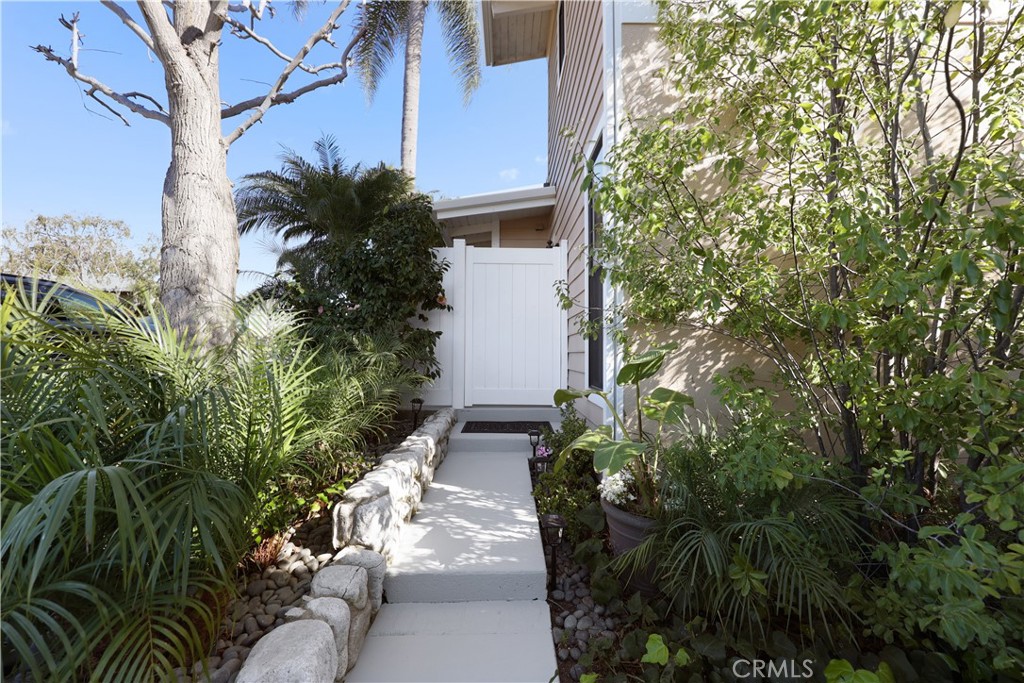 454 Seaward Road Corona del Mar, CA 92625 - Photo 18 of 33 a view of a backyard with plants and a tree