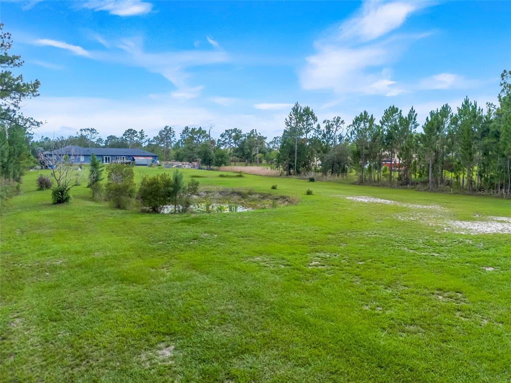 19327 Ralston Street Orlando, FL 32833 - Photo 47 of 59