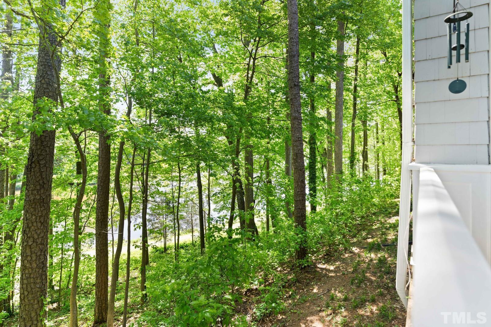 7500 Cadbury Court, Unit 101 Raleigh, NC 27615 - Photo 31 of 41 a close up of a plant in a garden