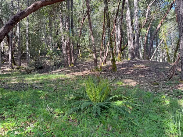 $10,000 | 1666 Alcott Place, Willits, CA 95490