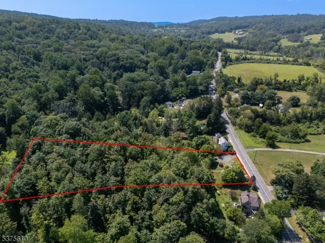 an aerial view of green landscape with trees houses and mountain view