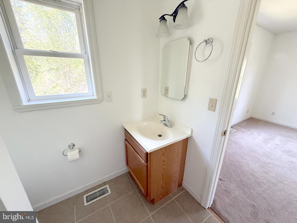 1121 Montour Road Loysville, PA 17047 - Photo 12 of 20 a bathroom with a sink a mirror and shower