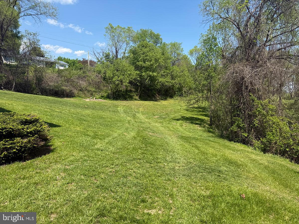 1121 Montour Road Loysville, PA 17047 - Photo 20 of 20 a view of a trees with a yard