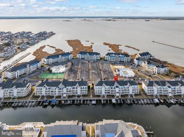 a view of a lake with a trees in the background