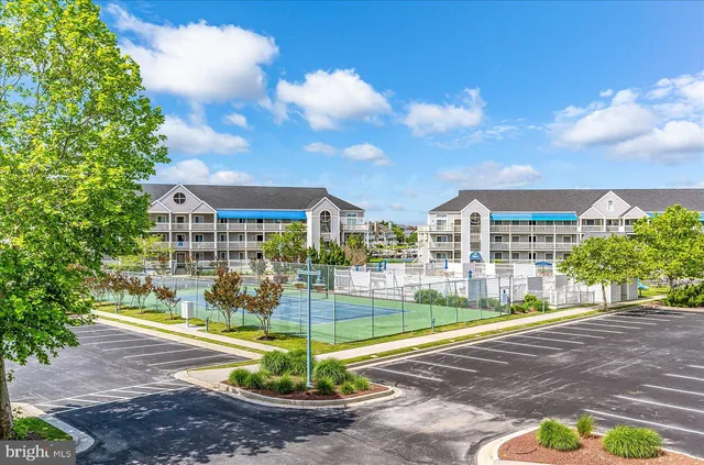 a view of a park with large trees
