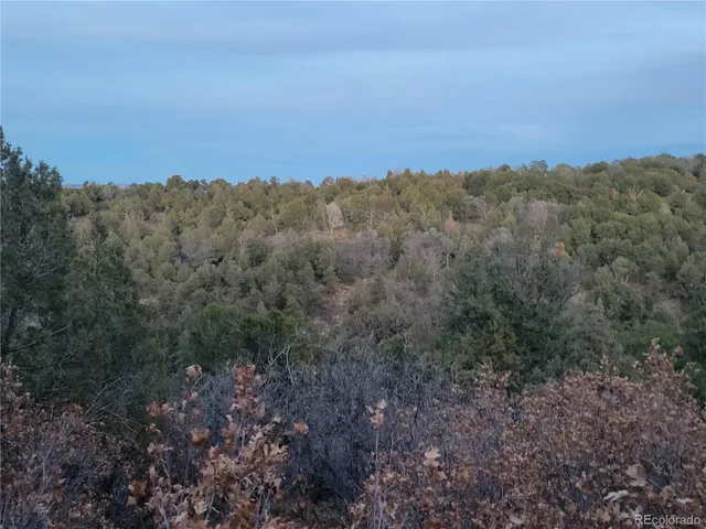 $329,000 | V44 Rd Norwood Co 81423, Norwood, CO 81423