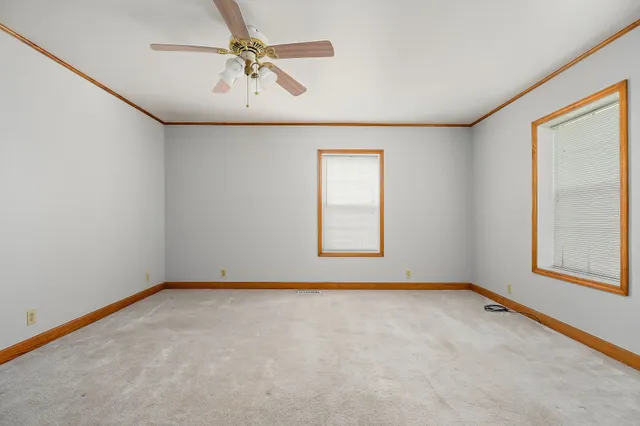 a tree in the middle of a yard