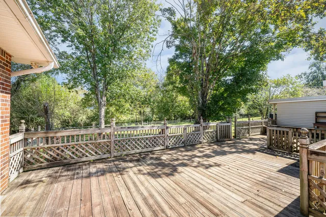 a view of a backyard with plants and large trees
