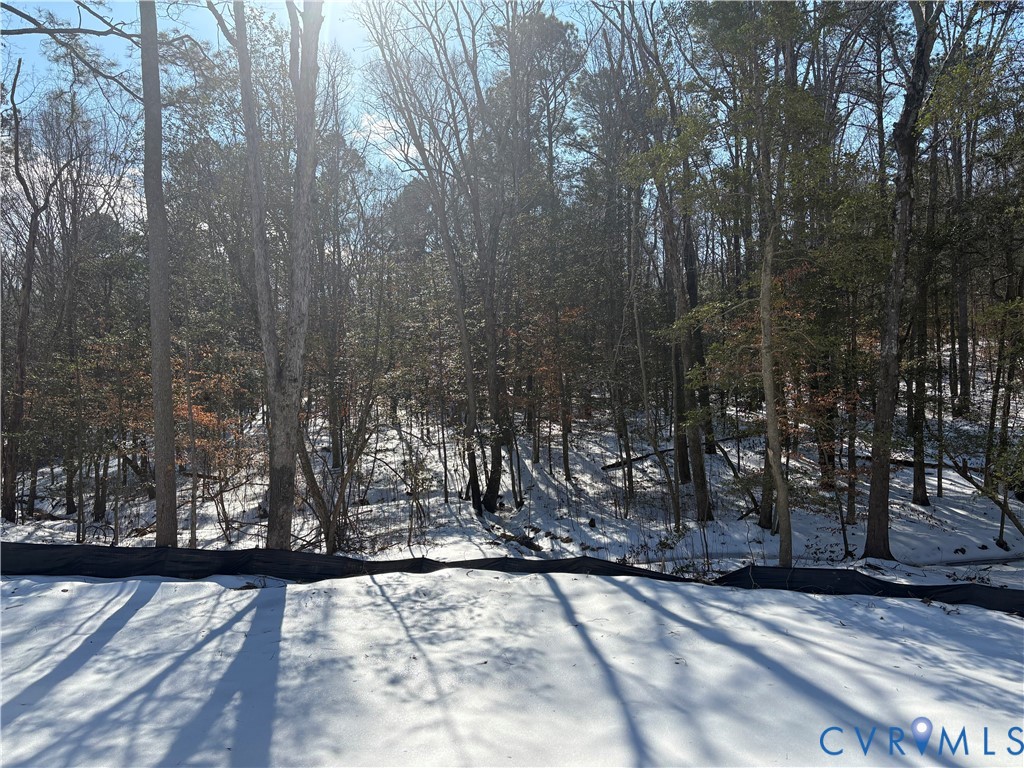210 Mill Road King William, VA 23086 - Photo 9 of 19
