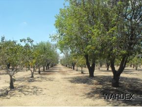 4740 Quartzite Road Golden Valley, AZ 86413 - Photo 11 of 36 Additional Photo