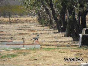 4740 Quartzite Road Golden Valley, AZ 86413 - Photo 14 of 36 Additional Photo