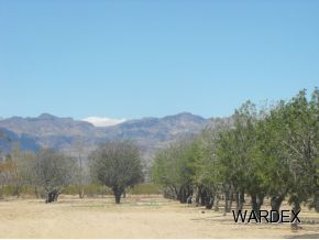 4740 Quartzite Road Golden Valley, AZ 86413 - Photo 16 of 36 Additional Photo