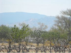 4740 Quartzite Road Golden Valley, AZ 86413 - Photo 17 of 36 Additional Photo