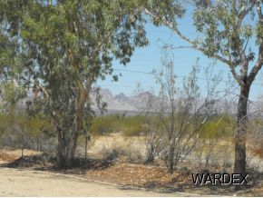 4740 Quartzite Road Golden Valley, AZ 86413 - Photo 19 of 36 Additional Photo