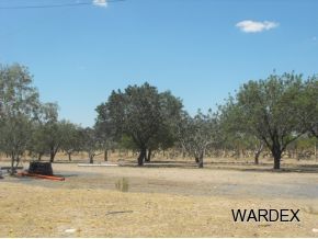 4740 Quartzite Road Golden Valley, AZ 86413 - Photo 31 of 36 Additional Photo