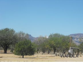 4740 Quartzite Road Golden Valley, AZ 86413 - Photo 7 of 36 Additional Photo