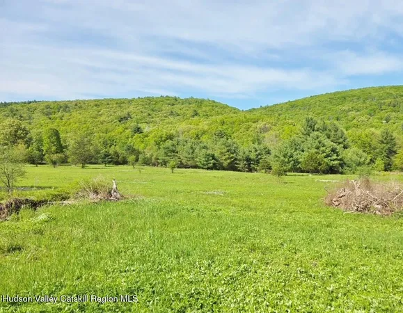 a view of a field with an ocean