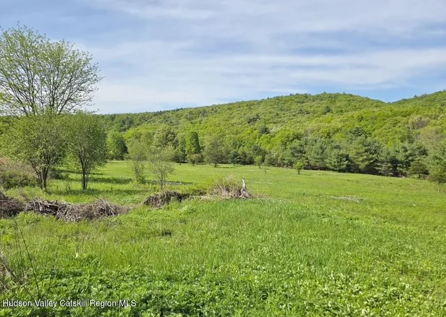 a view of a field with an trees
