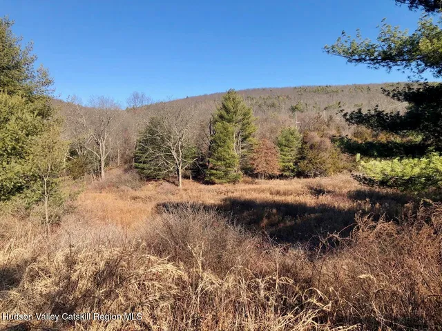 a view of a yard next to a building