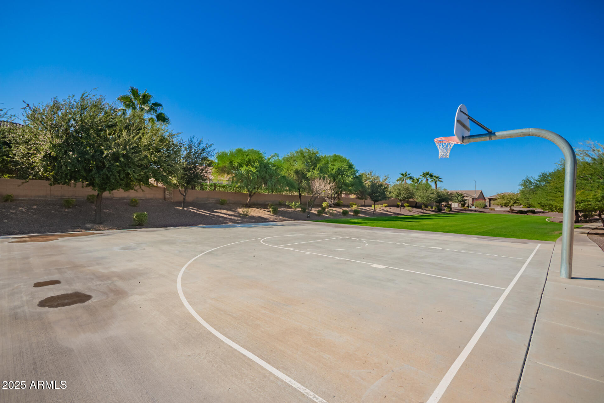 1672 South Sunset Drive Chandler, AZ 85286 - Photo 54 of 68 a view of a basket ball ground