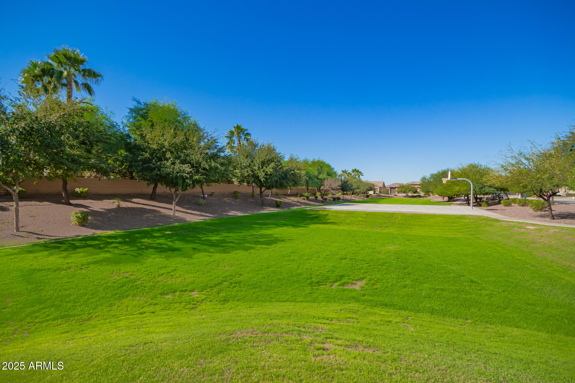 1672 South Sunset Drive Chandler, AZ 85286 - Photo 56 of 68 a view of yard with swimming pool and green space