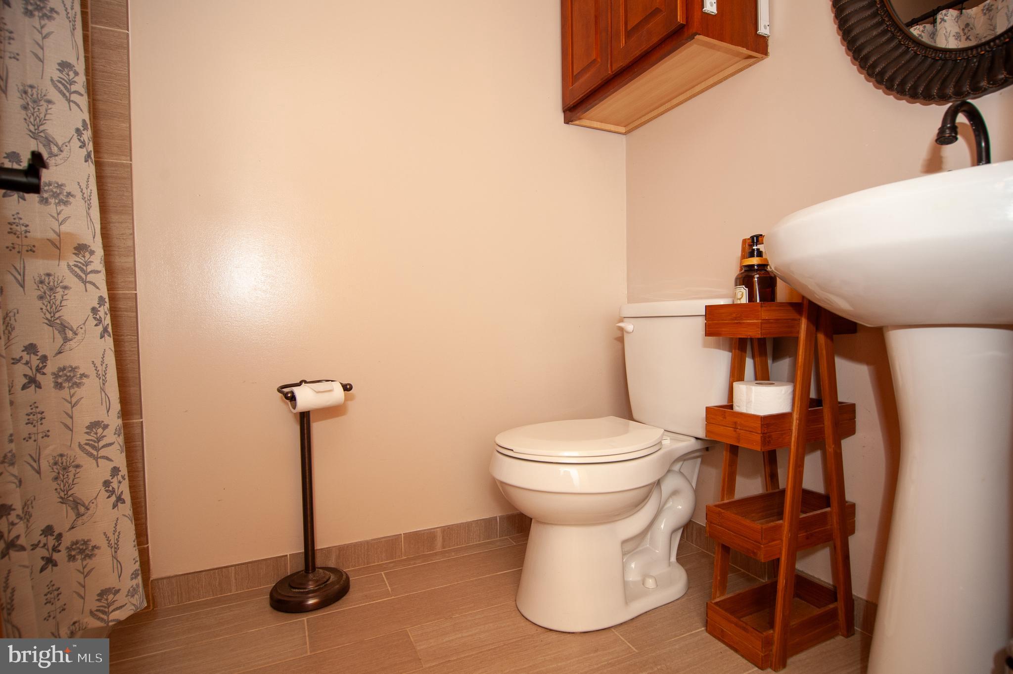 191 Irish Hill Road Felton, DE 19943 - Photo 26 of 40 Bathroom 2